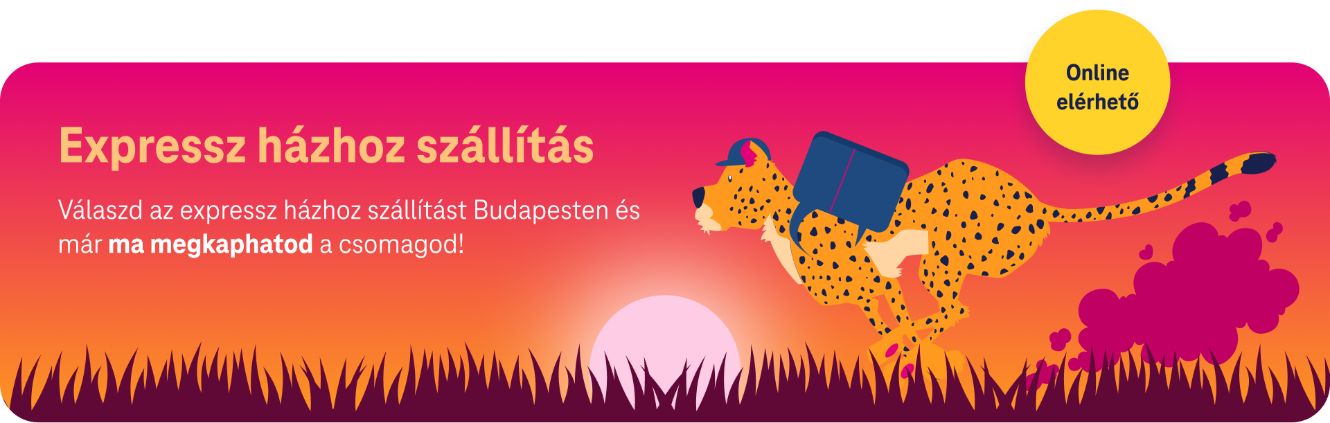 Expressz házhoz szállítás